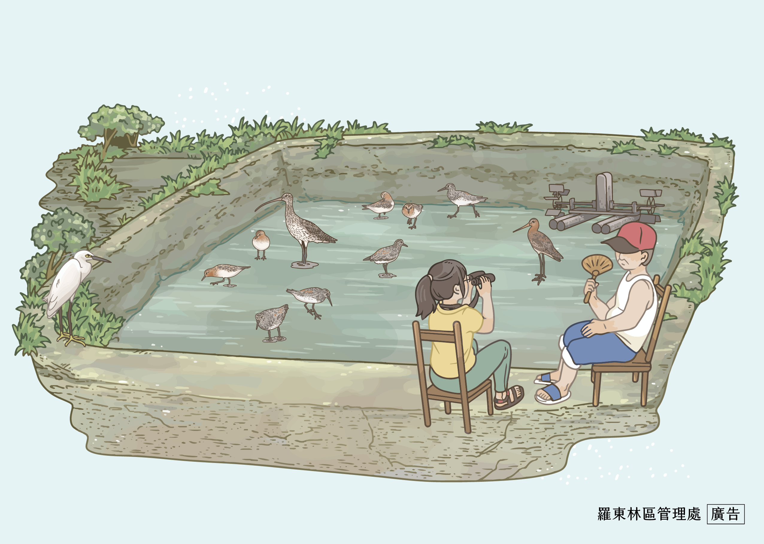 季新魚塭裡的春過境水鳥,你認得幾種呢
