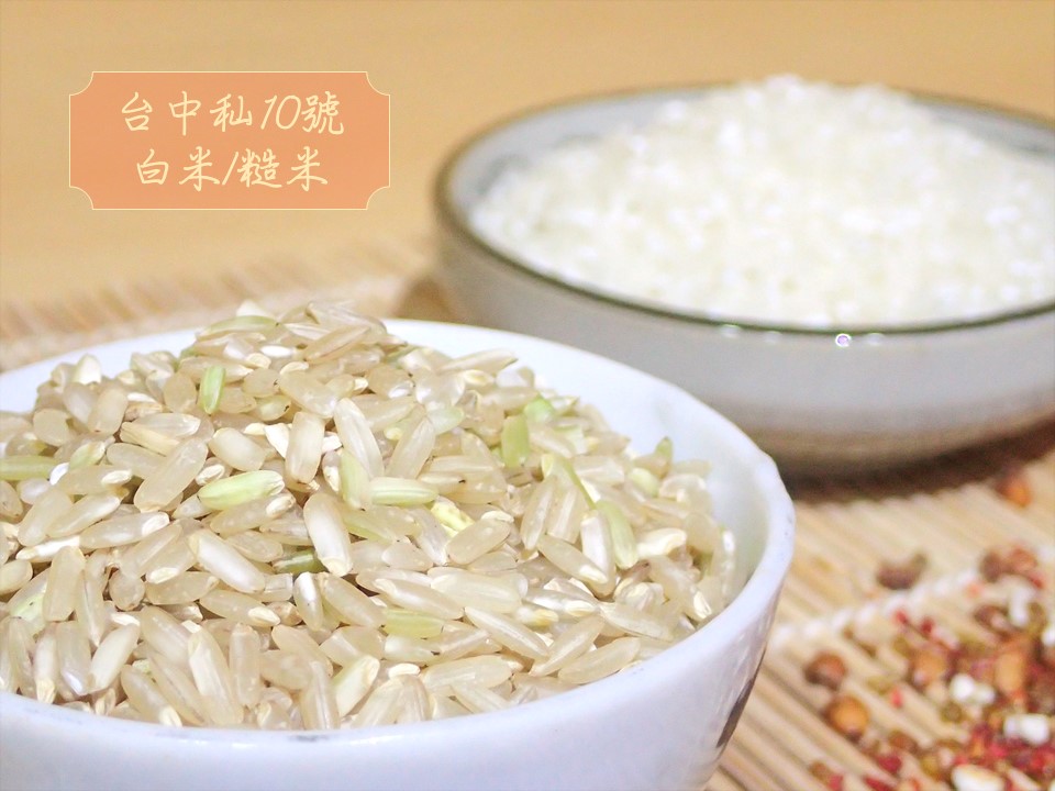 台中秈10號